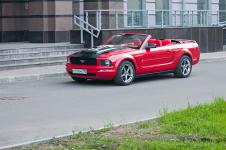 110601_mustang_027_1.jpg