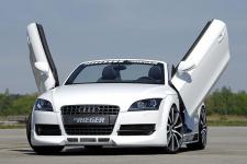 audi_tt_rieger_8-.jpg